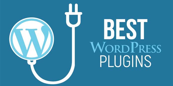 7 Top WordPress Plugins For Business Users