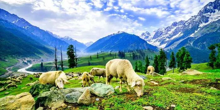 Kashmir Tour Packages A Tour to Heaven on Earth