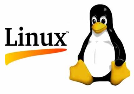 Linux OS for Gaming