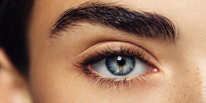 Beginners Guide to Eyebrow Tinting