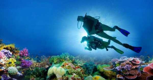 Marmaris Scuba Diving : Mix to the Turquoise Waters