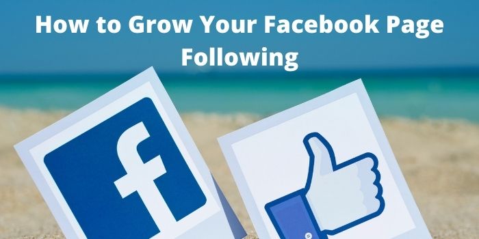 How to Grow Your Facebook Page Following