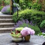 Make Your Home a Better Place Best Plants You Can Grow At Your Garden