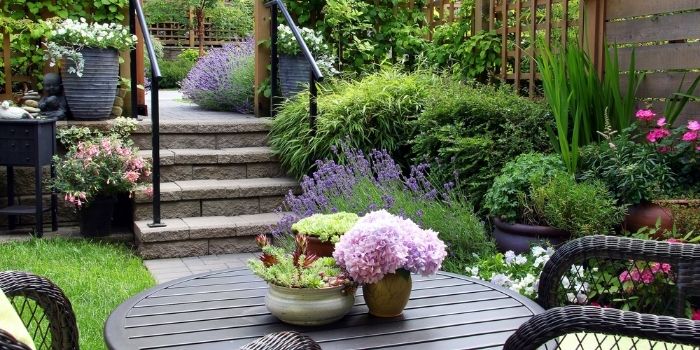 Make Your Home a Better Place: Best Plants You Can Grow At Your Garden