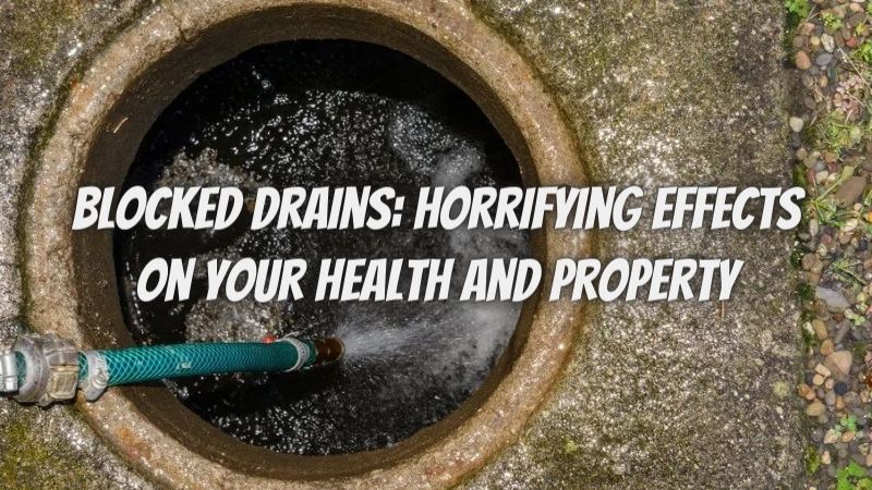 Blocked Drains: Horrifying Effects on Your Health and Property