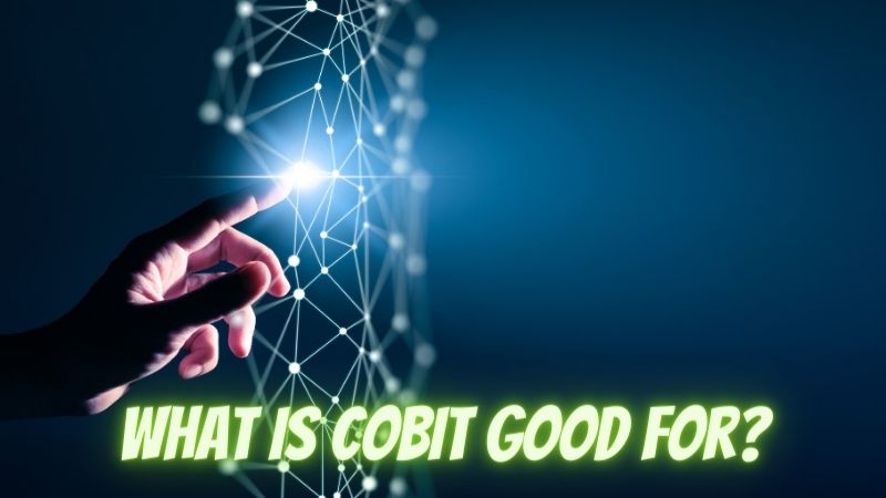 What is cobit good for?