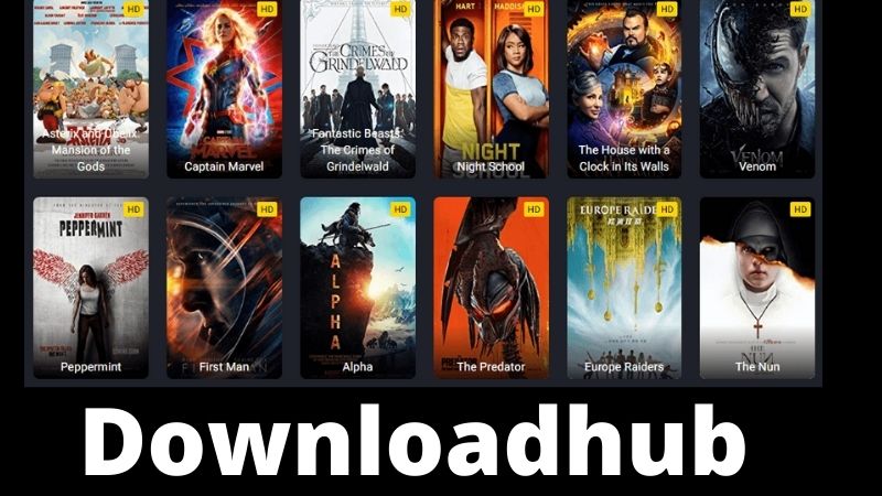 Downloadhub 2022 – Illegal HD Movies Download a Pirated Website