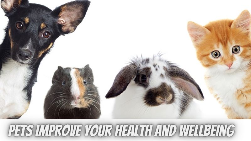 Pets Improve Your Health and Wellbeing