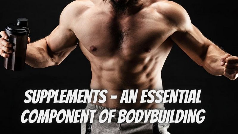 Supplements - An essential component of bodybuilding