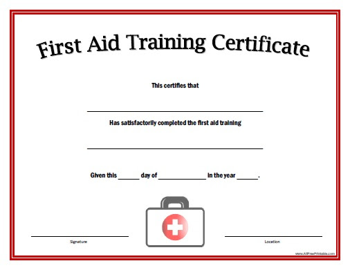 4 Important Things You Learn During the First Aid Certification Course for Children's Health!