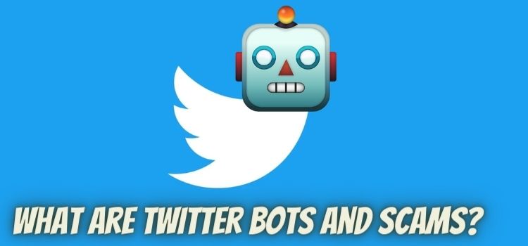 What Are Twitter Bots and Scams?