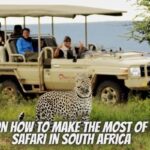 Tips On How To Make The Most Of Your Safari in South Africa