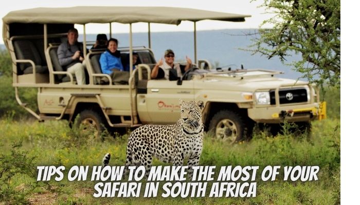 7 Tips On How To Make The Most Of Your Safari in South Africa 