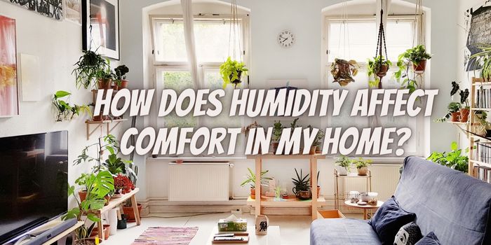 How Does Humidity Affect Comfort in My Home?