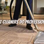 What Kind of Carpet Cleaners Do Professionals Use
