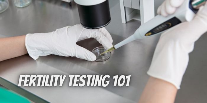 Fertility Testing 101 How to Get Your Fertility Checked