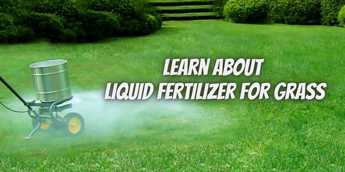 Learn More About The Advantages of Liquid Fertilizer For Grass