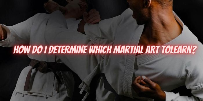 How Do I Determine Which Martial Art toLearn?