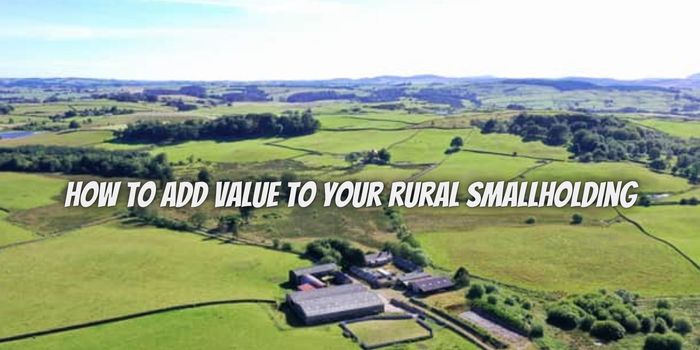 How to add value to your rural smallholding