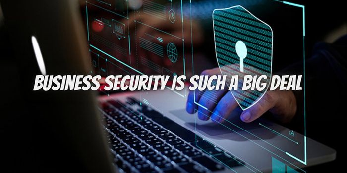 Four Reasons Why Business Security is Such a Big Deal
