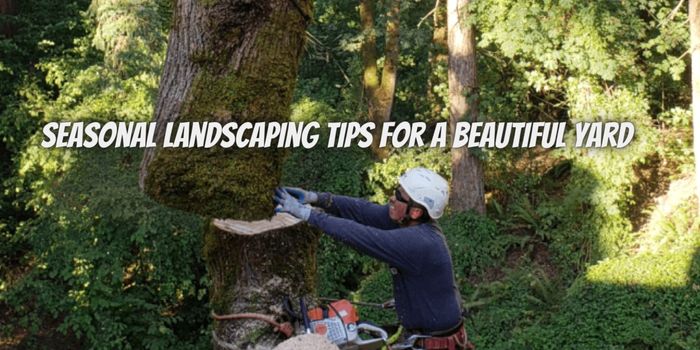 Seasonal Landscaping Tips for a Beautiful Yard