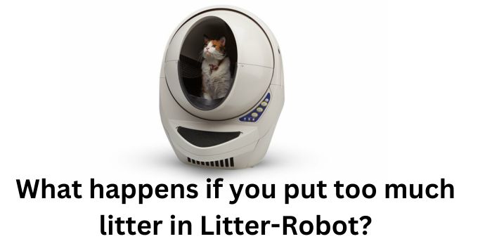What happens if you put too much litter in Litter-Robot?