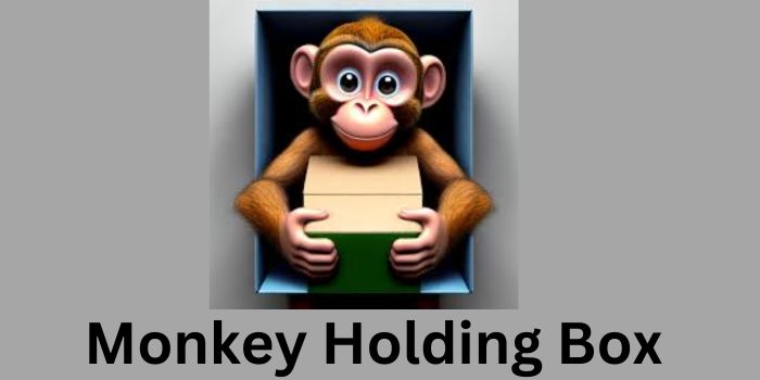 Monkey Holding Box - Know here all about it!