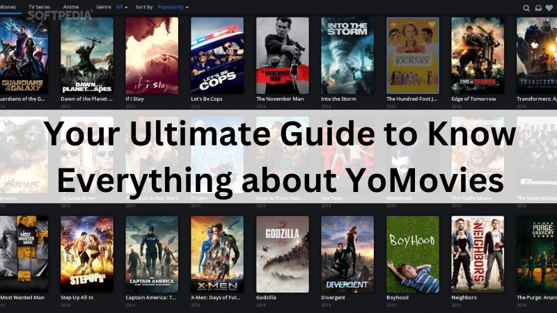 Your Ultimate Guide to Know Everything about YoMovies