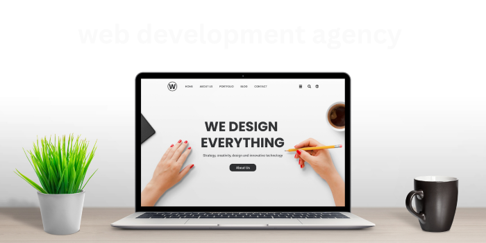 web development agency